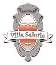 Notfalltraining Villa Salutis Logo