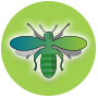 Biene-Button