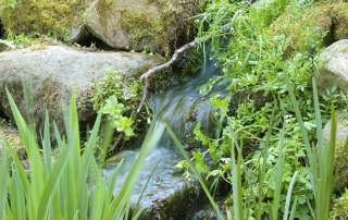 Schwermetall-Villa Salutis