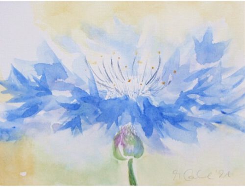 Alltagstaugliche Entspannungstechniken anleiten